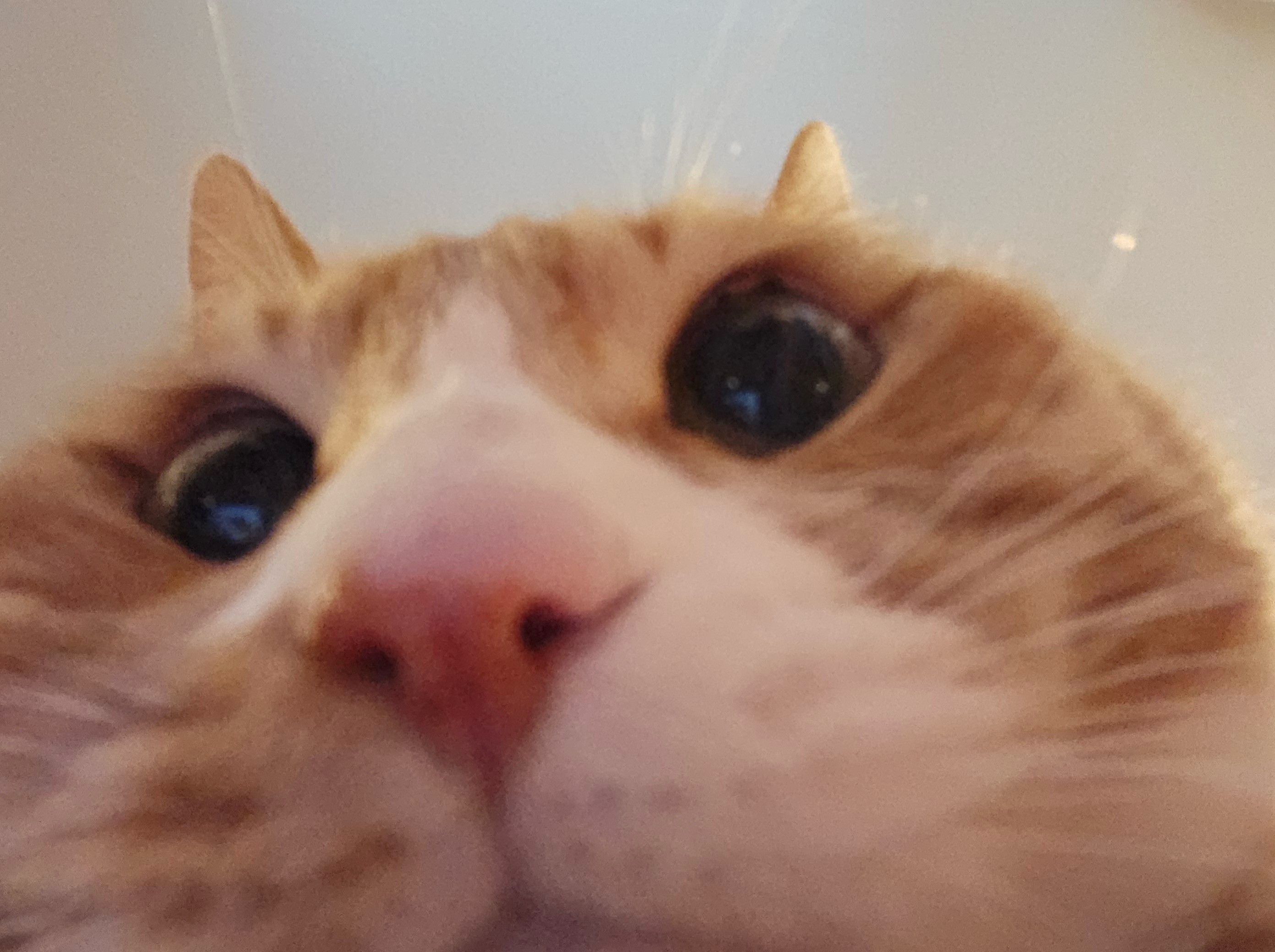 Ki28MVib5DE1hFYXx57NpmLUxSFEZYya0fczR2dA.jpg